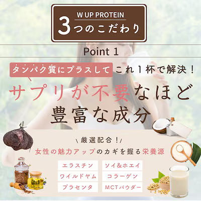 【割引なし！その都度のお申込み】W UP PROTEIN とろけるココア味　-単品-